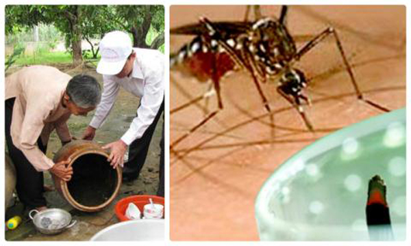Thay thể chum chứa nước, bể nước bằng bồn chứa nước inox để ngăn chặn sự phát triển của muỗi